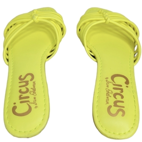 Circus by Sam Edelman Brady Strappy Sandals - Picture 4 of 9